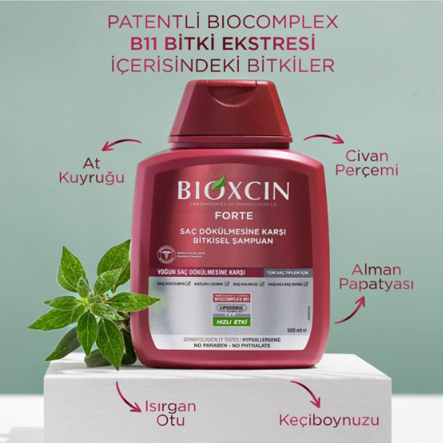 BIOXCIN FORTE Shampoo 3 für 2 - Gegen Intensiven Haarausfall - Wirksam & Schnell - Mit Bio Complex B11 - 3x300ml